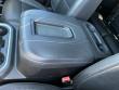 2020 Chevrolet Silverado 1500 LT Trail Boss Pickup Truck