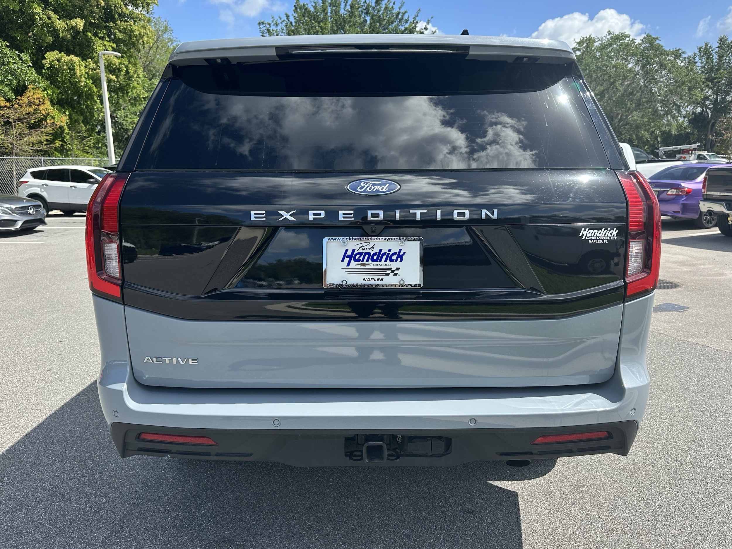 2025 Ford Expedition Active photo 3