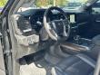 2023 Chevrolet Silverado 1500 LT Trail Boss Pickup
