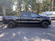 2022 Chevrolet Silverado 1500 LT Trail Boss Pickup