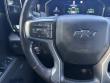 2022 Chevrolet Silverado 1500 LT Trail Boss Pickup