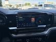 2022 Chevrolet Silverado 1500 LT Trail Boss Pickup
