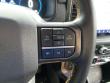 2023 Ford F-150 Tremor Pickup
