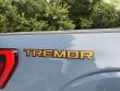 2023 Ford F-150 Tremor Pickup