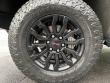 2023 GMC Sierra 1500 AT4X Pickup