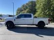 2019 Ford Super Duty F-250 SRW Limited Pickup