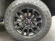 2023 GMC Sierra 1500 AT4X Pickup