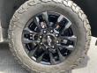 2025 Chevrolet Silverado 2500HD LTZ Pickup