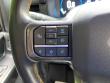 2023 Ford F-150 Tremor Pickup