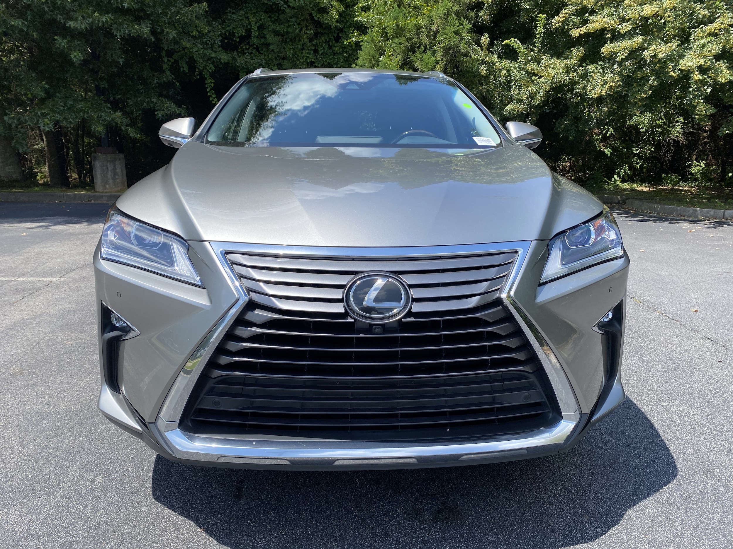 2019 LEXUS RX RX 350L Premium