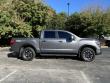 2024 Nissan Titan PRO-4X Pickup