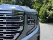 2025 GMC Sierra 1500 Denali Pickup
