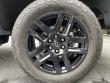 2025 Chevrolet Silverado 1500 LT Trail Boss Pickup