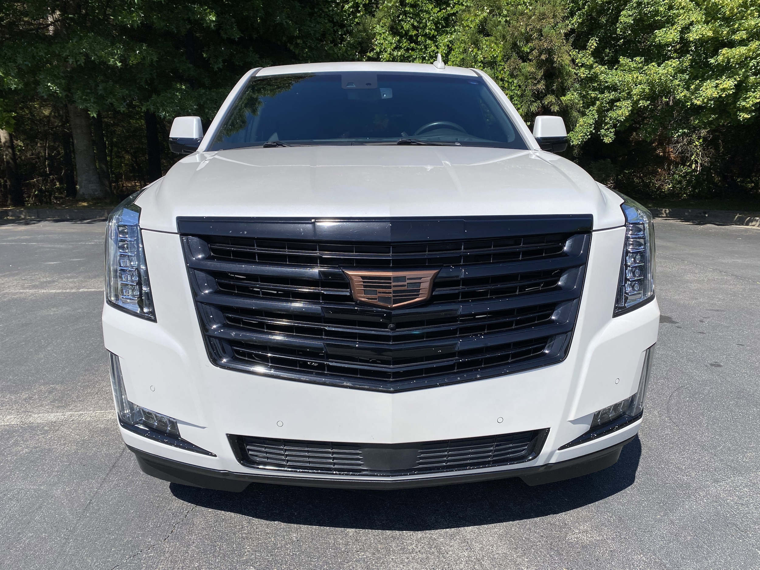 2016 CADILLAC Escalade Platinum photo 3