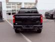 2024 Chevrolet Silverado 1500 Custom Trail Boss Pickup