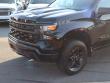 2025 Chevrolet Silverado 1500 Custom Trail Boss Pickup