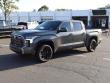 2026 Toyota Tundra 4WD Platinum Pickup