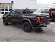 2025 Chevrolet Colorado 4WD Trail Boss Pickup