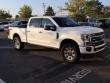 2022 Ford Super Duty F-250 SRW Platinum Pickup