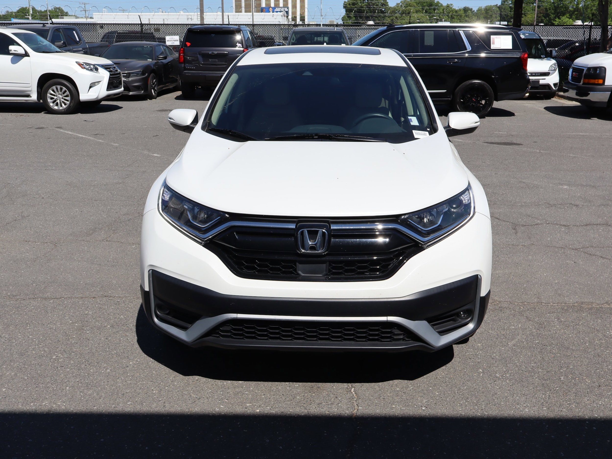 2022 Honda CR-V EX photo 3
