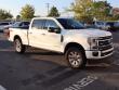 2022 Ford Super Duty F-250 SRW Platinum Pickup