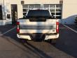 2022 Ford Super Duty F-250 SRW Platinum Pickup