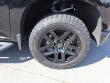 2021 Chevrolet Silverado 1500 Custom Trail Boss Pickup