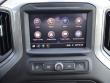 2021 Chevrolet Silverado 1500 Custom Trail Boss Pickup