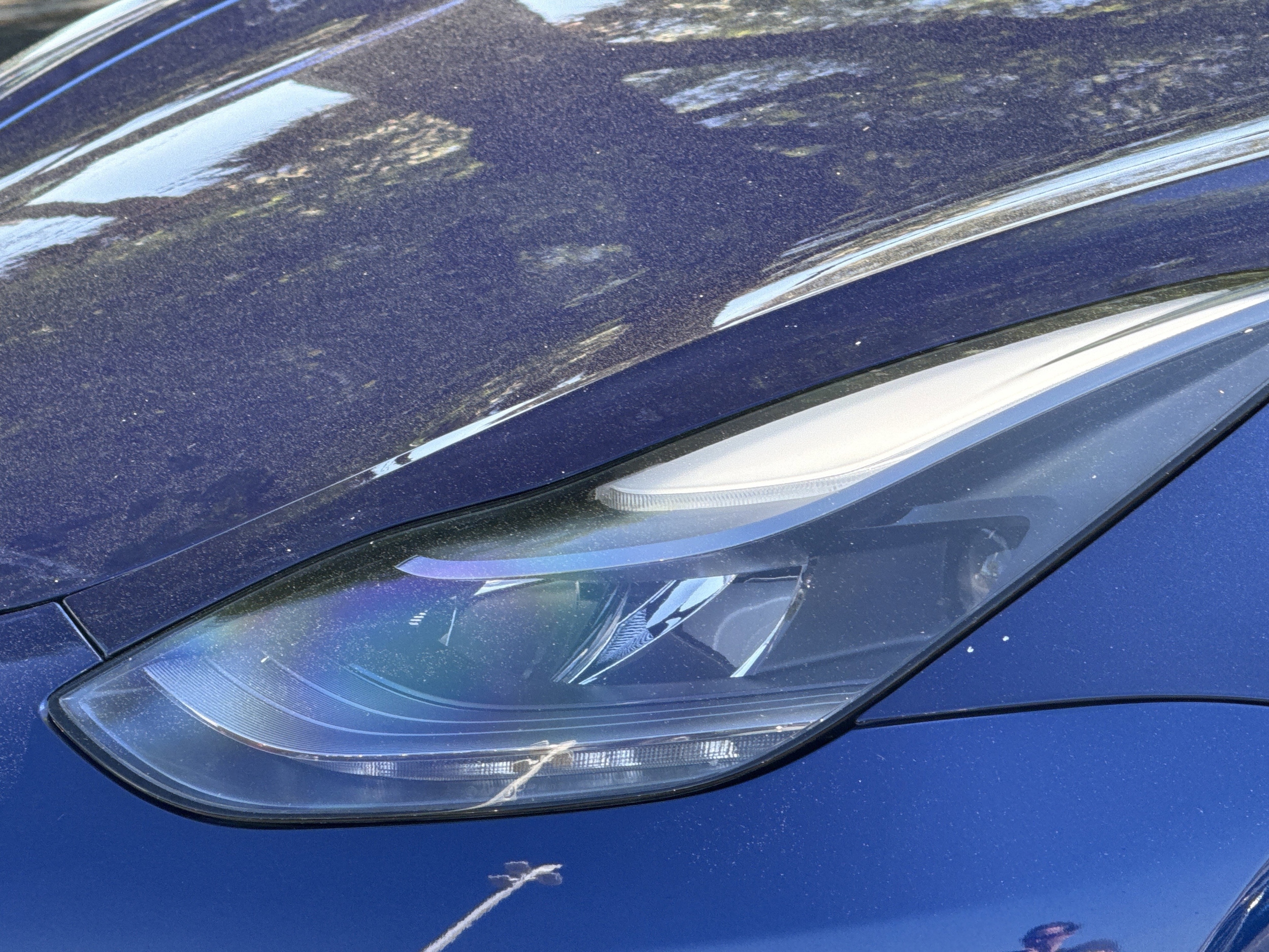 2023 Tesla Model 3 photo 5