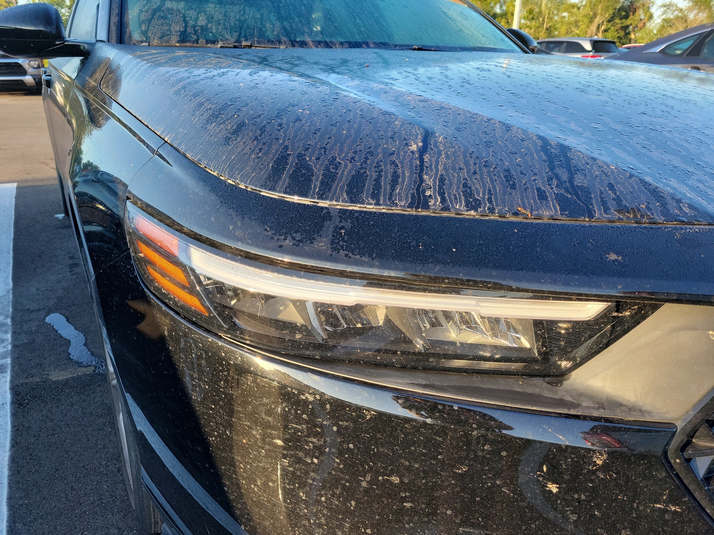2023 Honda Accord LX photo 3