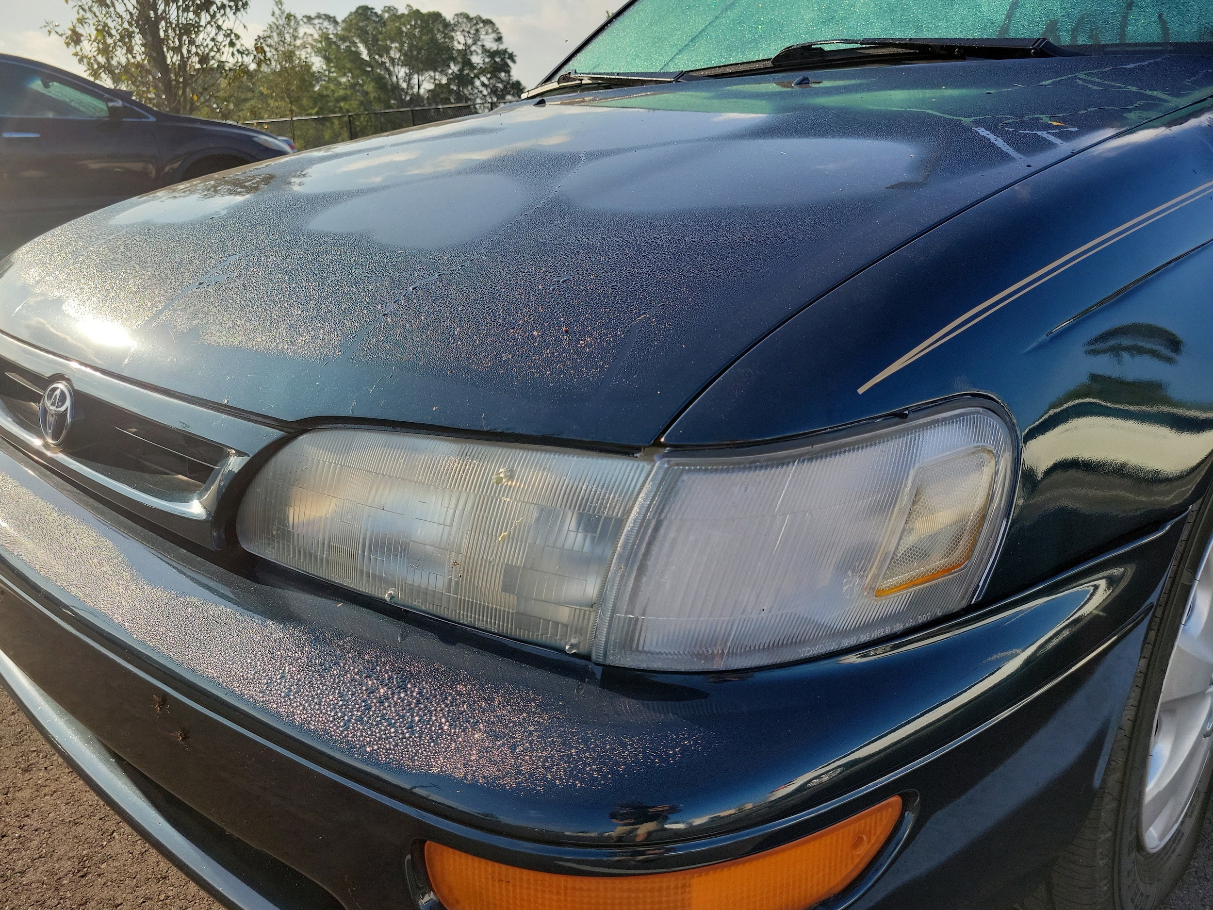 1996 Toyota Corolla DX (A4) (STD is Estimated) photo 5