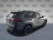 2025 Toyota RAV4 XLE SUV