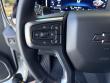 2025 Chevrolet Silverado 1500 LT Trail Boss Pickup
