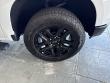 2025 Chevrolet Silverado 1500 LT Trail Boss Pickup