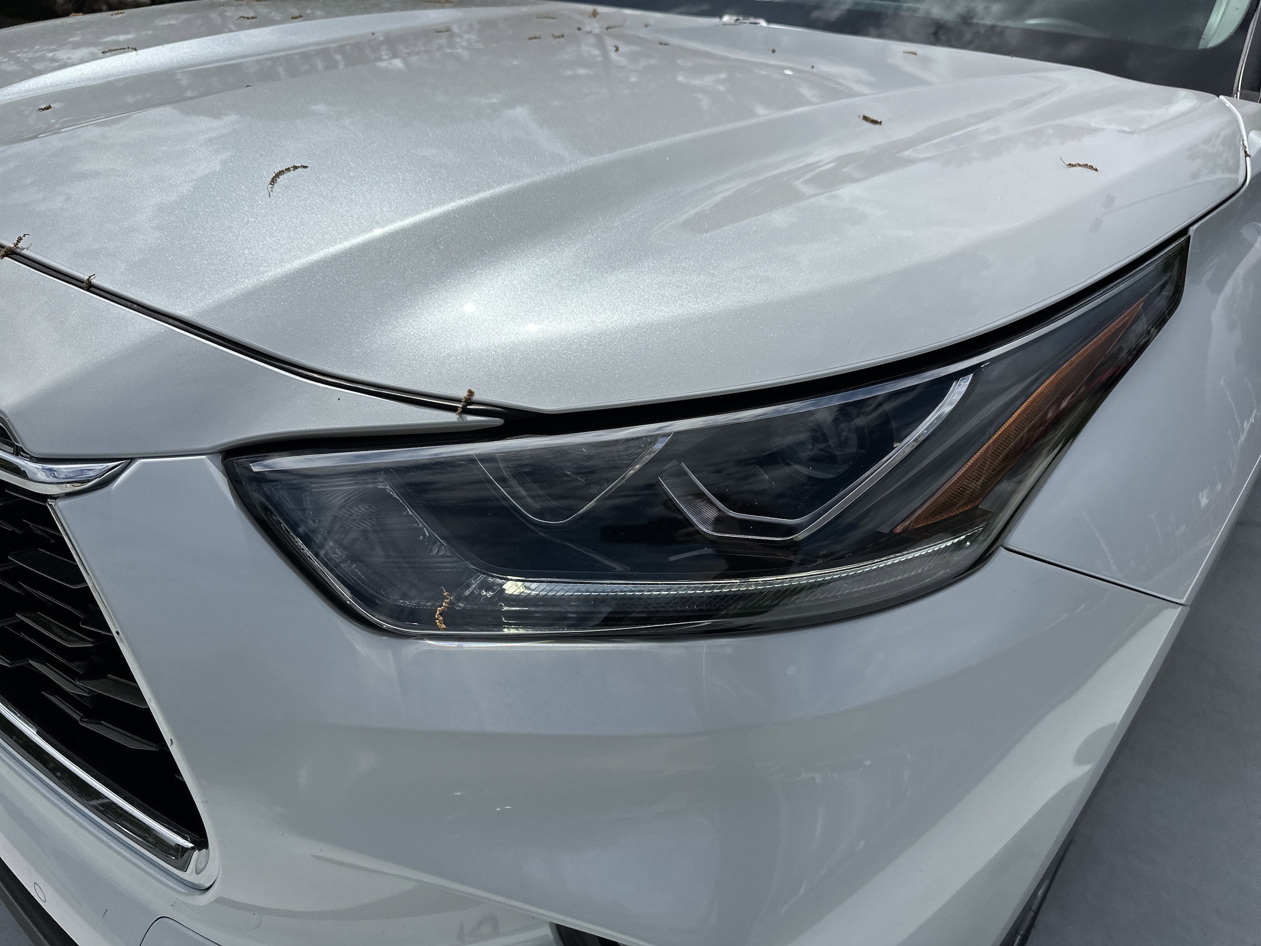 2024 Toyota Highlander Limited photo 5