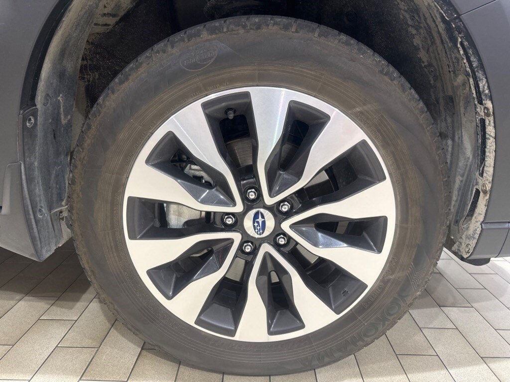 Used 2025 Subaru Outback Limited SUV