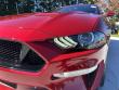 2020 Ford Mustang GT Premium Convertible