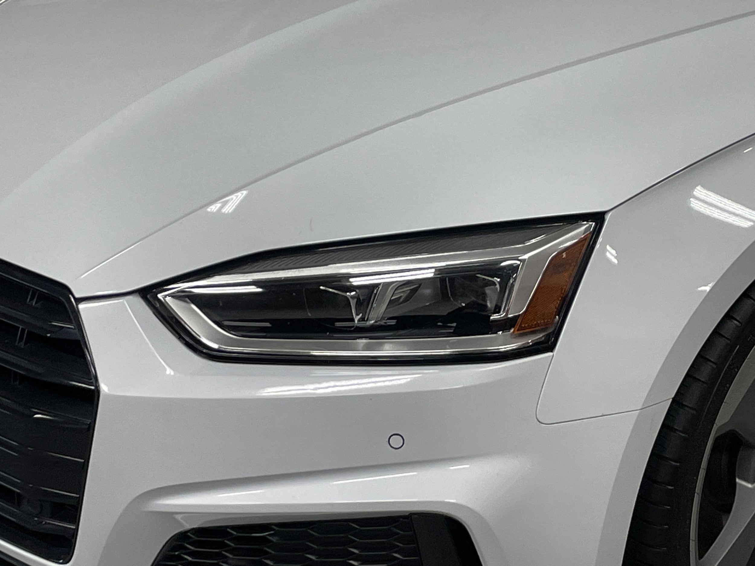 2019 Audi S5 Sportback Premium Plus photo 4