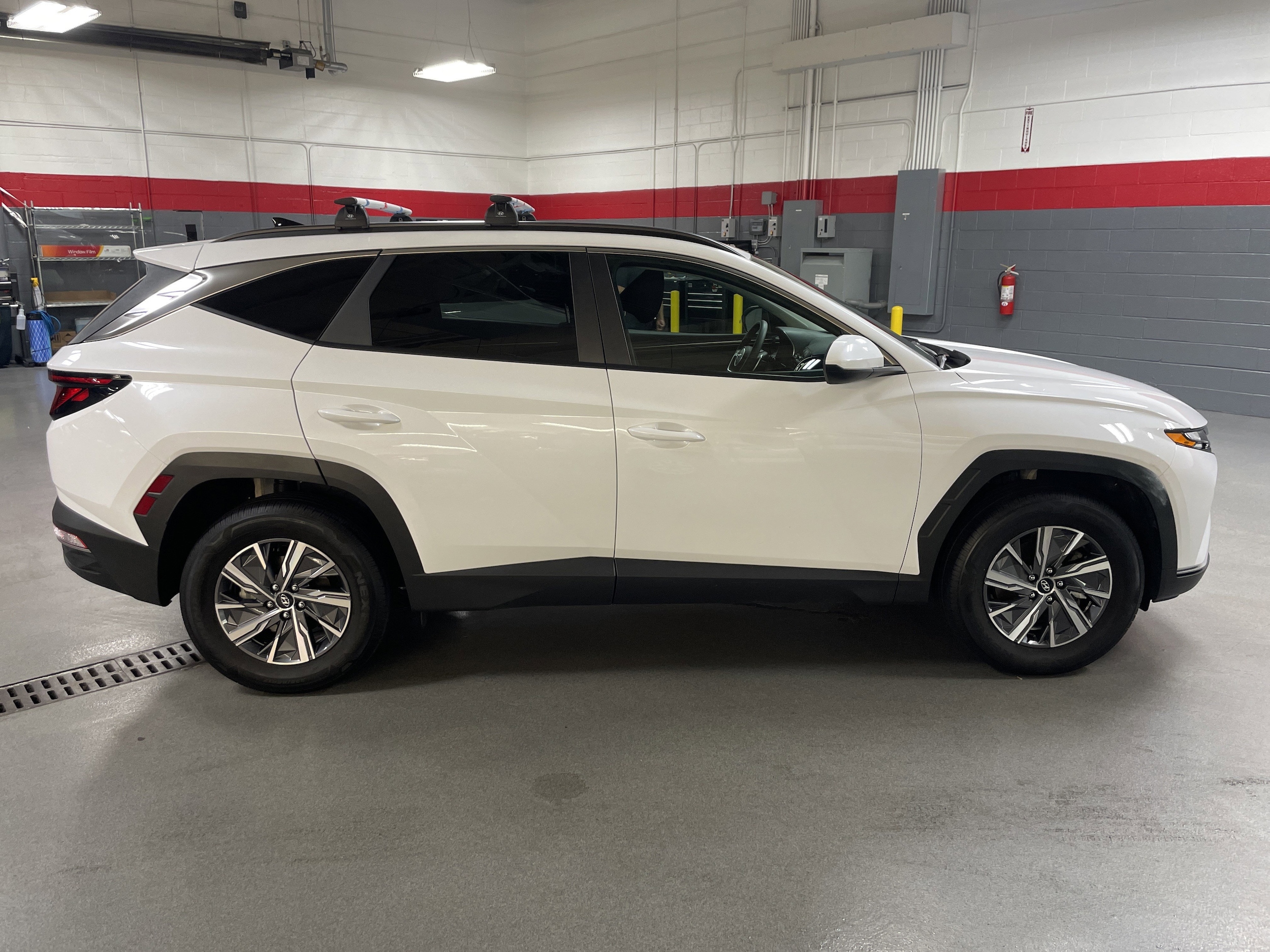 2024 Hyundai Tucson Hybrid Blue photo 4