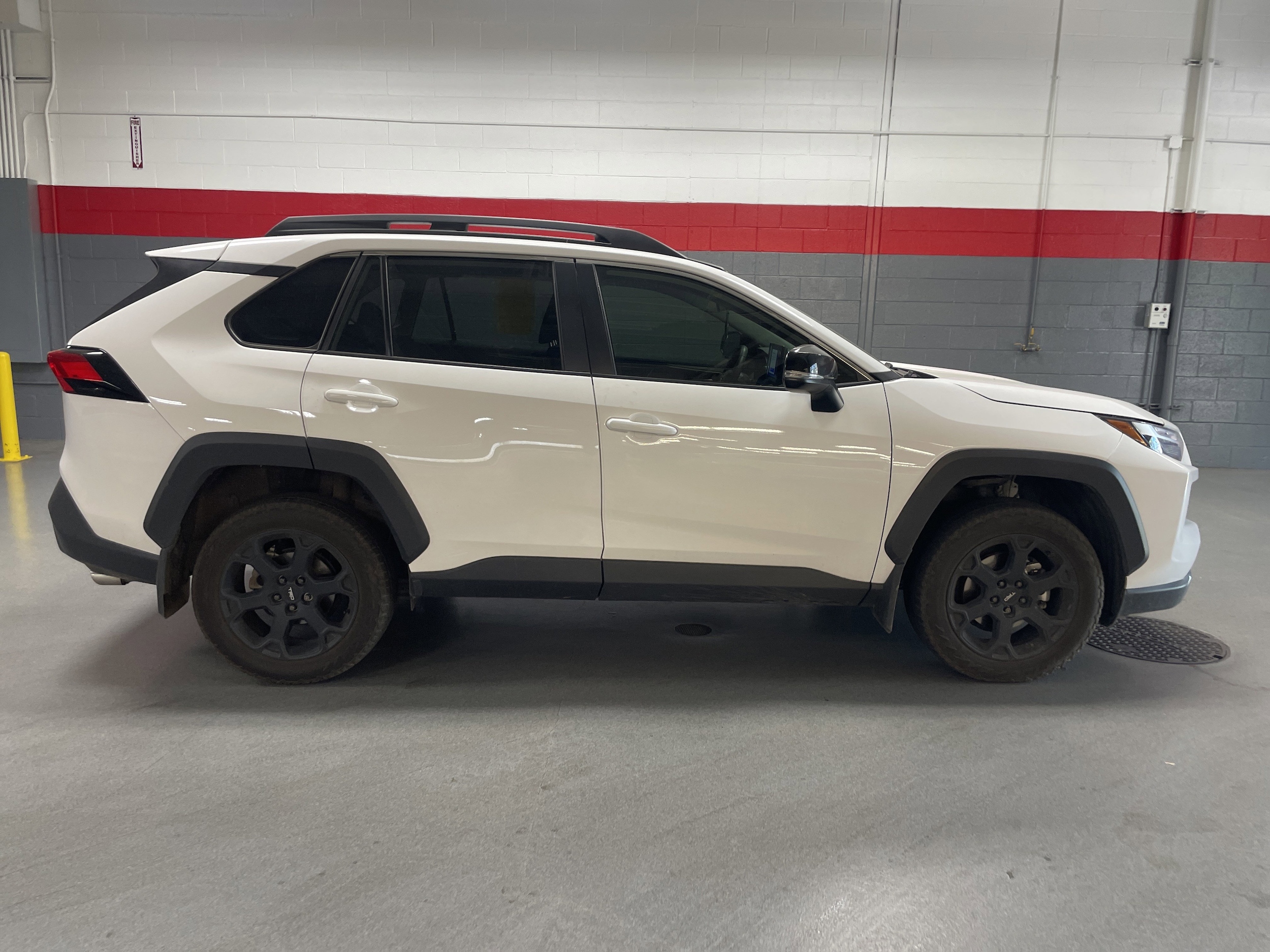 2024 Toyota RAV4 TRD Off Road photo 6