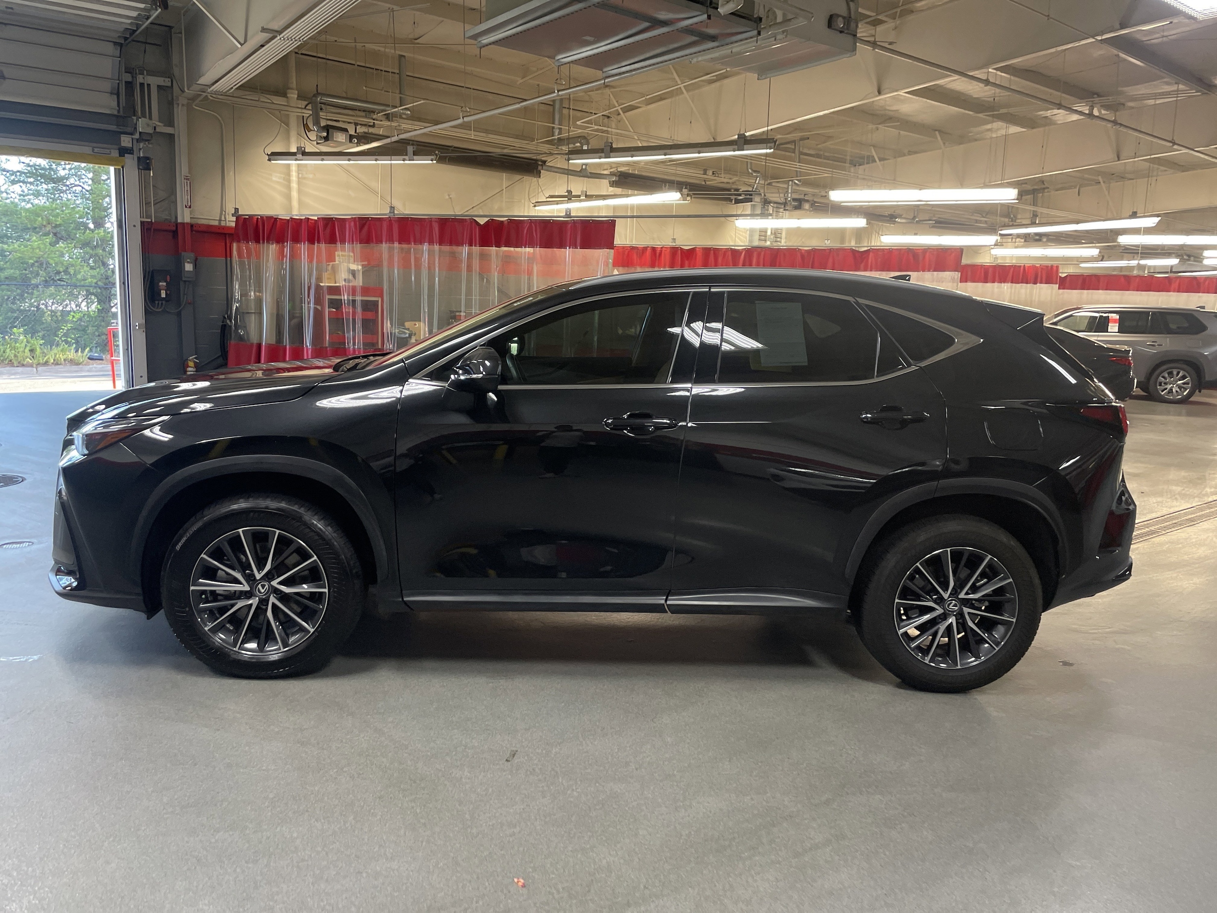 2024 LEXUS NX NX 250 Premium photo 5