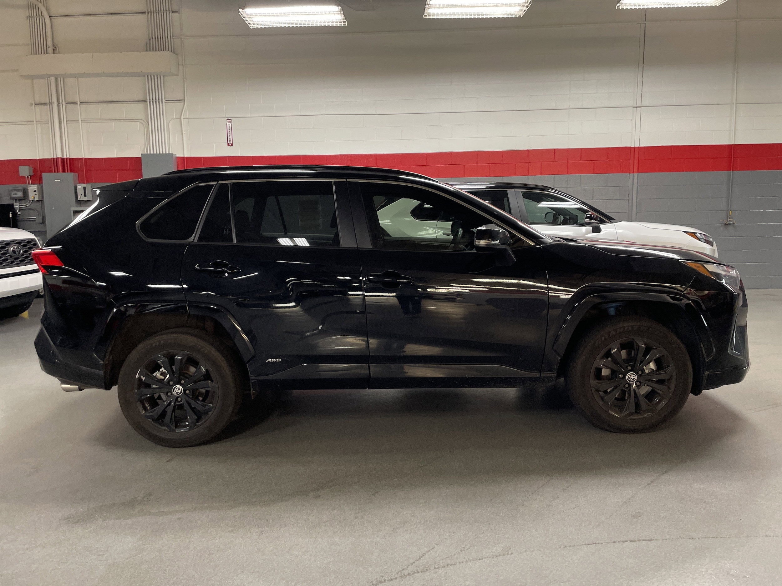 2023 Toyota RAV4 Hybrid SE photo 6