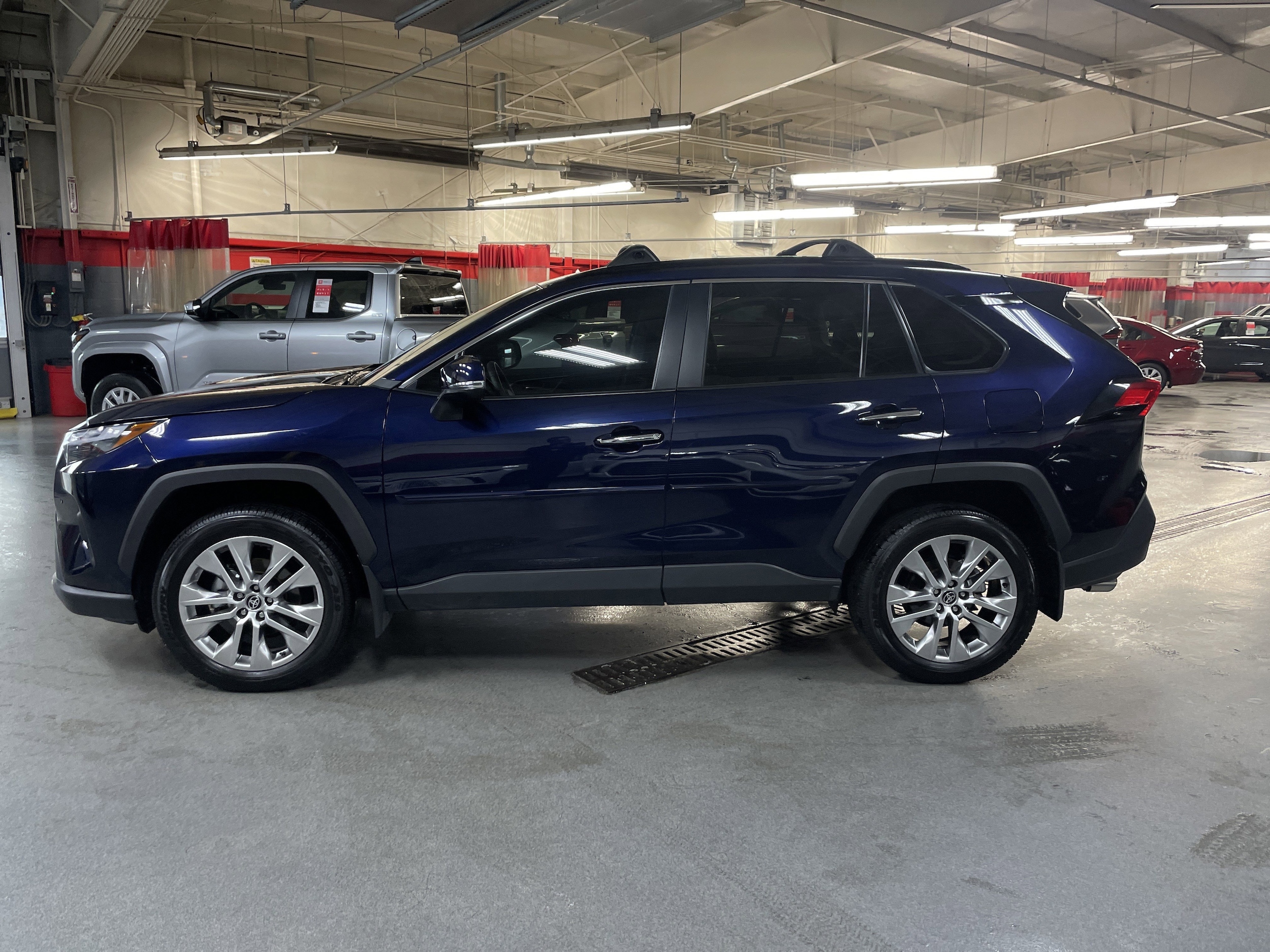 2025 Toyota RAV4 Limited photo 5