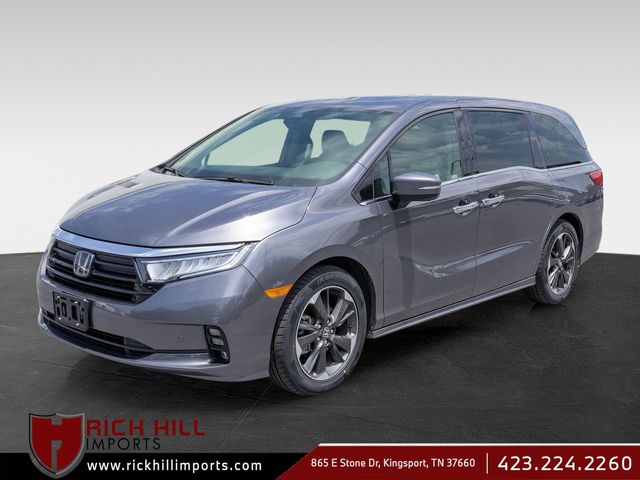2024 Honda Odyssey Elite's photo