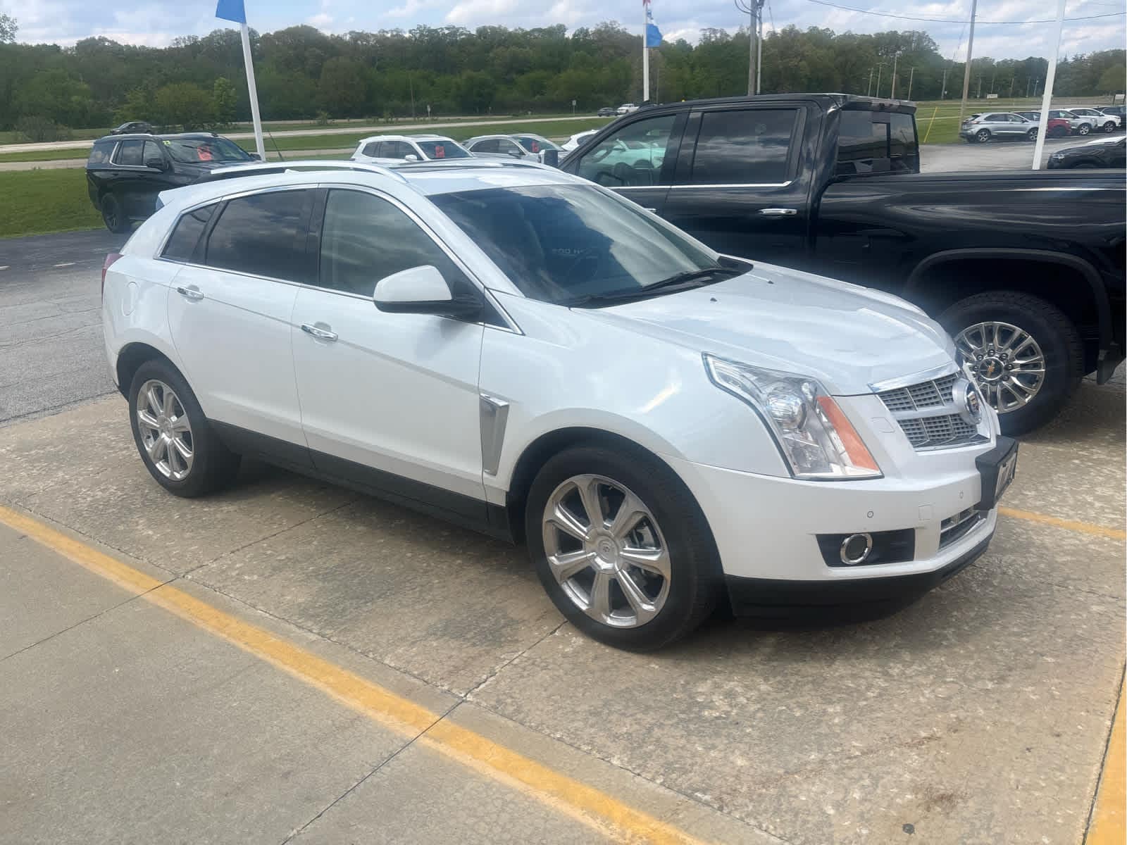 2013 Cadillac SRX AWD Premium Collection's photo
