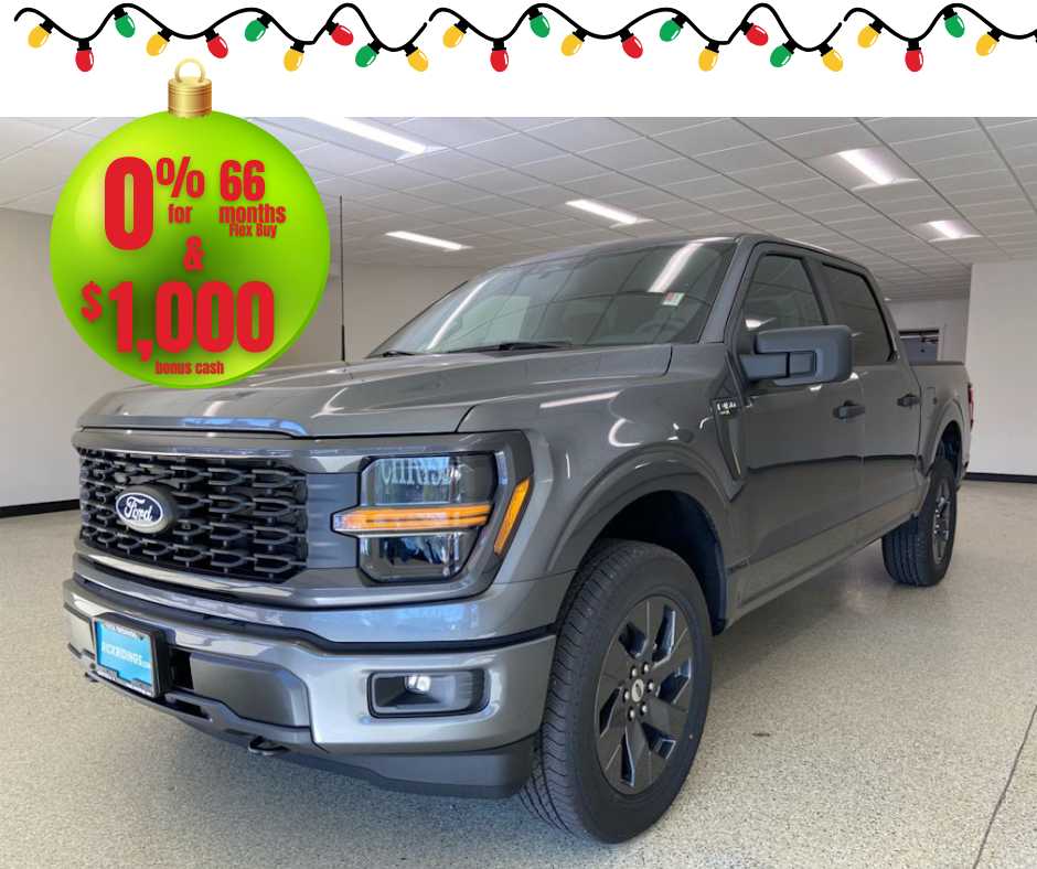 2025 Ford F-150 STX's photo