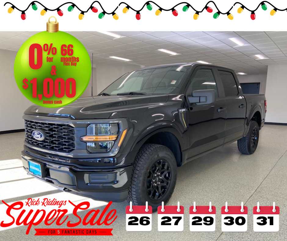 2025 Ford F-150 STX's photo