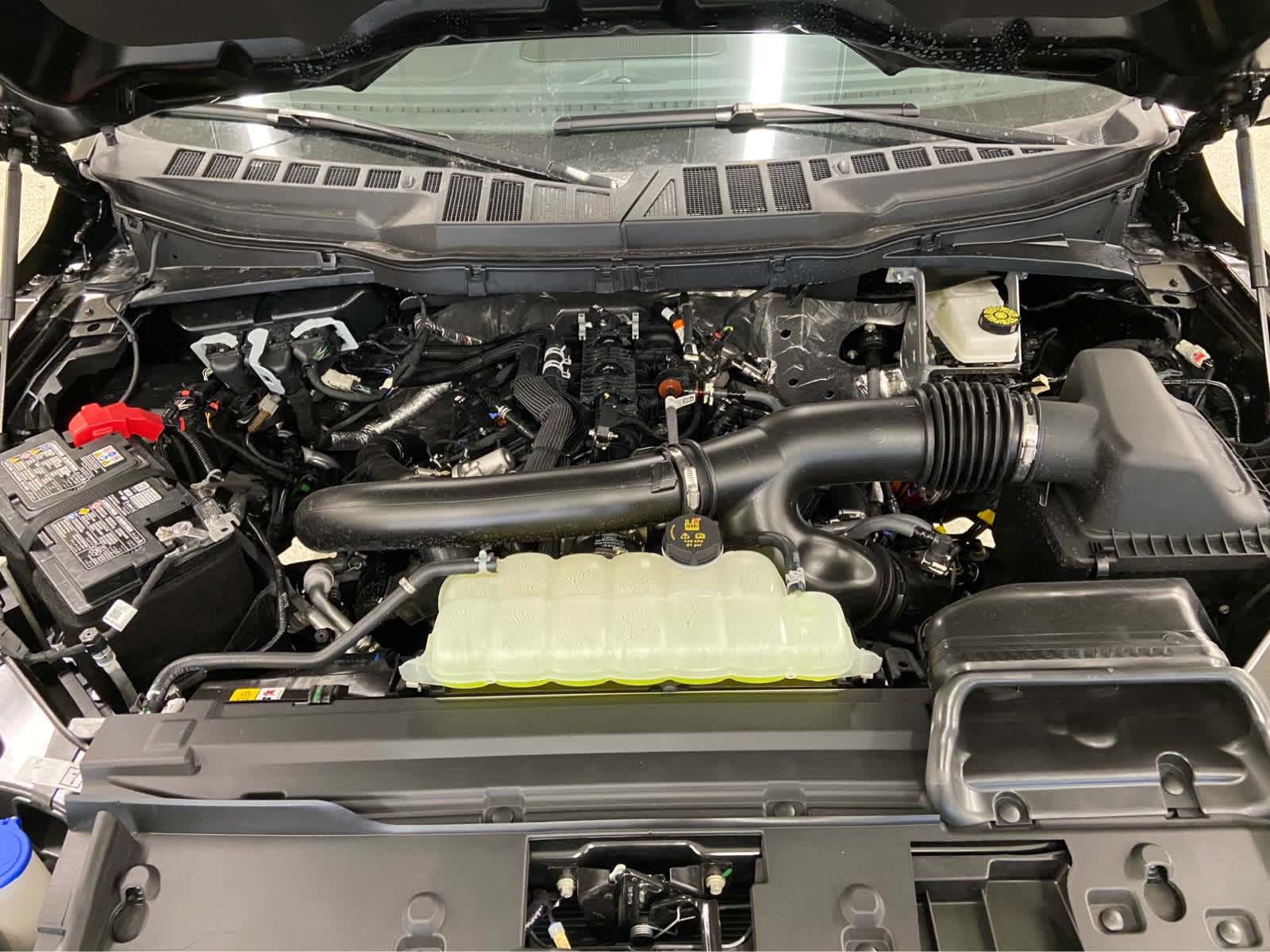 2025 Ford F-150 XLT photo 3