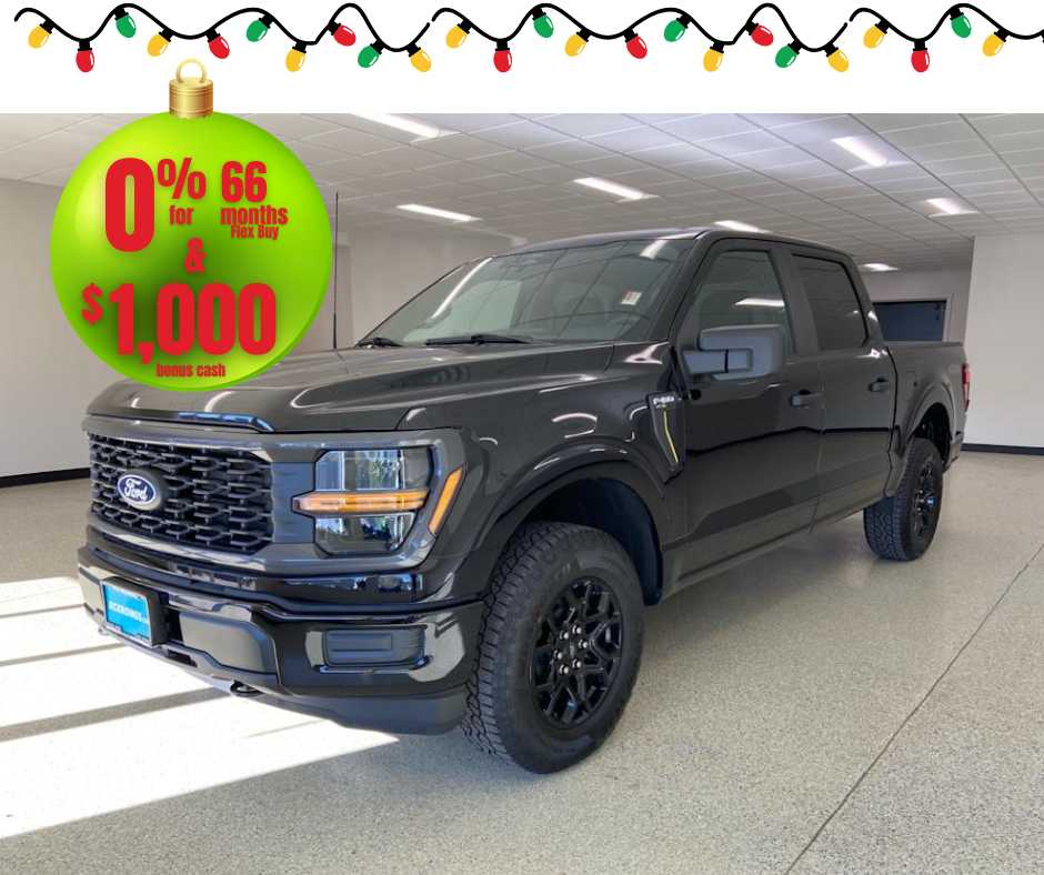 2025 Ford F-150 STX's photo