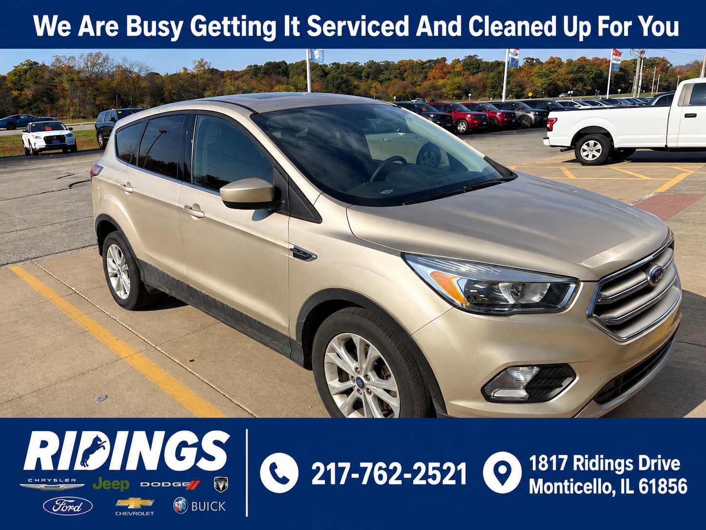 2017 Ford Escape SE FWD